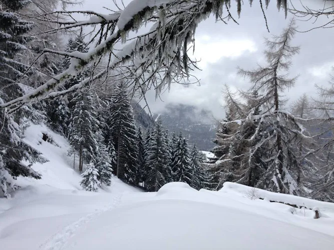 Snowshoeing day in Bruson in Valais