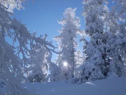 Snowshoeing day in Bruson in Valais