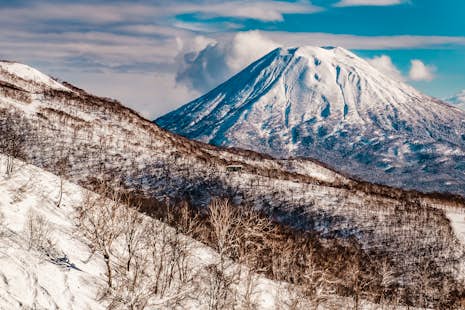 Powder Ski Trip in the Niseko and Sapporo Area