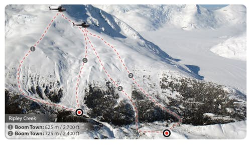 Heliskiing in the Coast Mountains 5-day trip, British Columbia