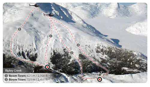 Voyage de 5 jours en héliski dans les montagnes de la côte, Colombie britannique