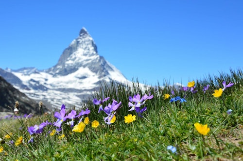 2-Day Ascent of the Matterhorn via Lion’s Ridge