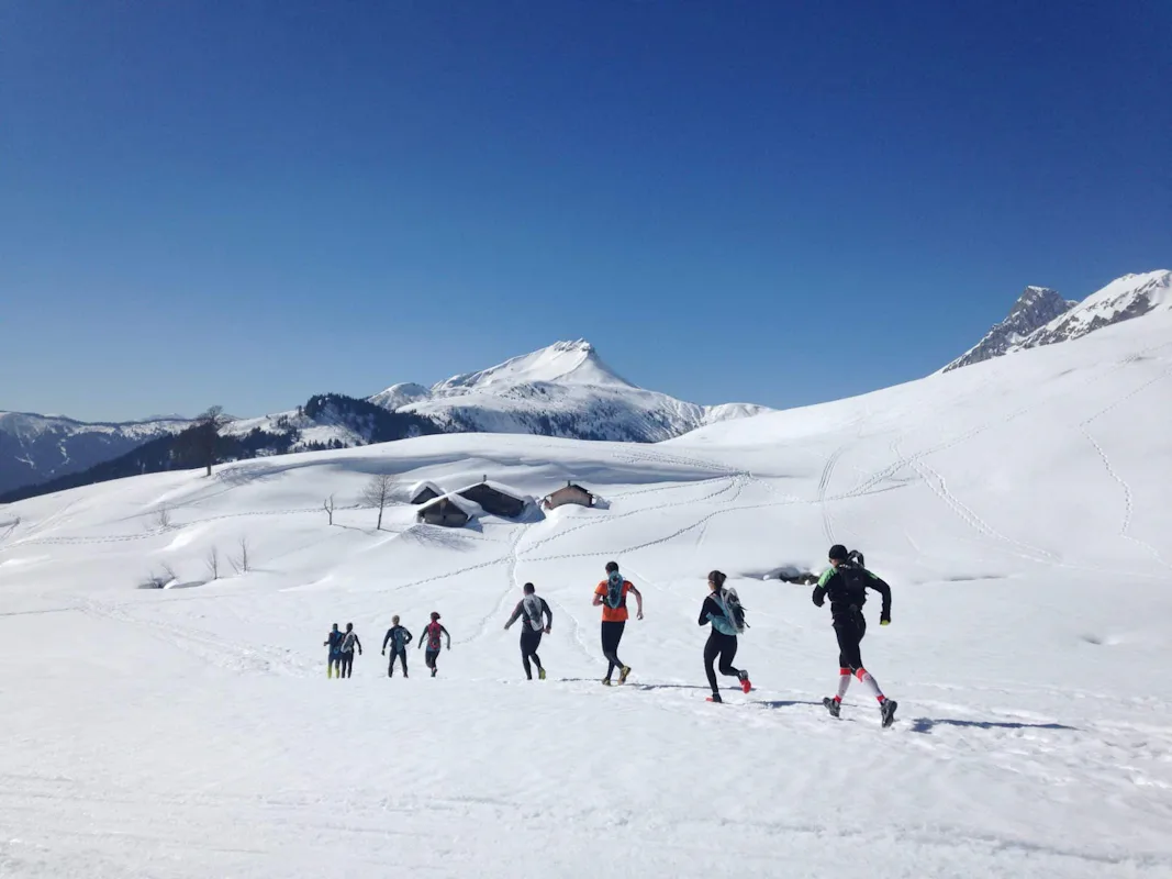 Winter trail and cross country skiing in les Saisies | France