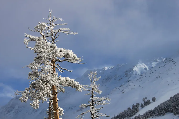 9-day Central Caucasus ski touring program
