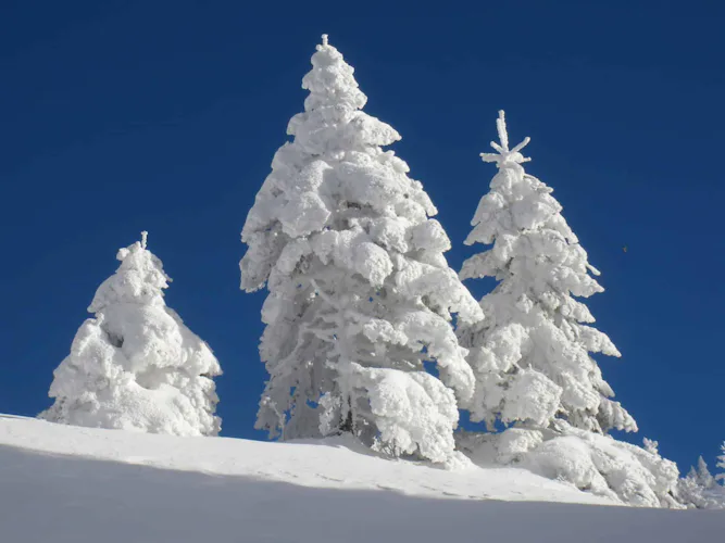 Traversée du Jura en raquettes à neige
