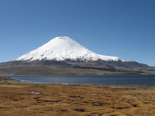 Nevado Sajama 5-Day Guided Ascent