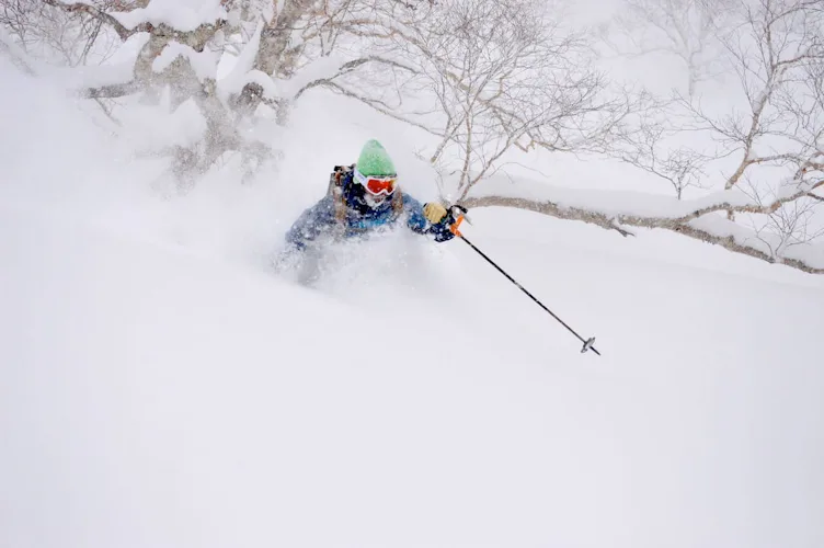 Esquí freeride en Gunma y Nigata
