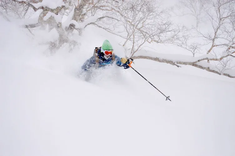 Freeride skiing in Gunma and Nigata