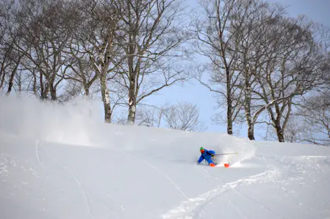 Freeride skiing in Gunma and Nigata