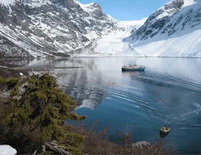 Ski touring from a boat in Greenland