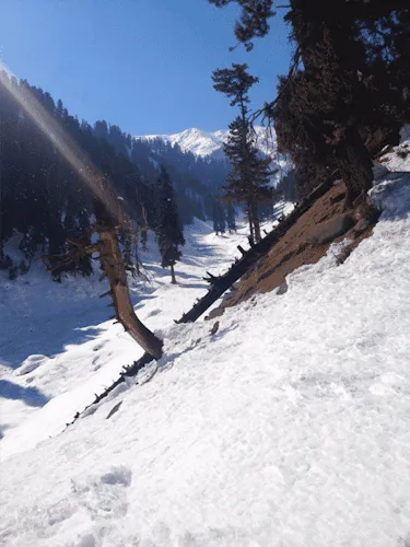 Ski touring in Gulmarg, Kashmir – India