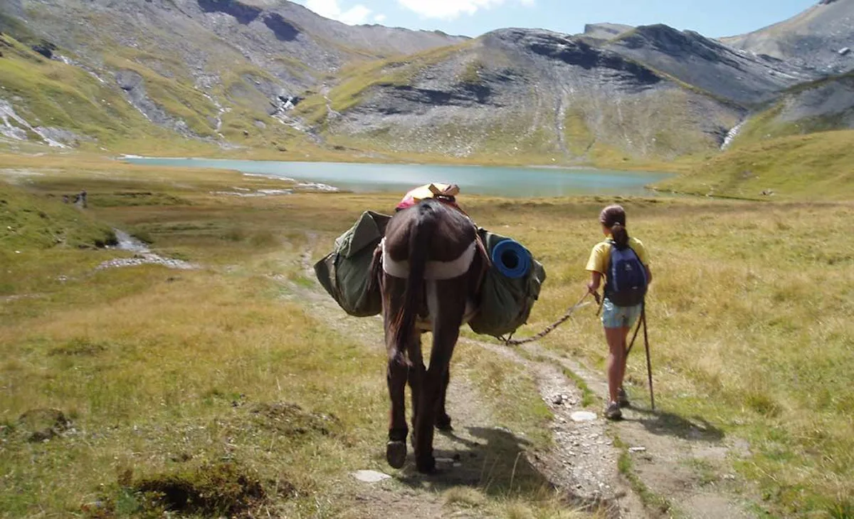 Hiking with mules in Haute Savoie | France