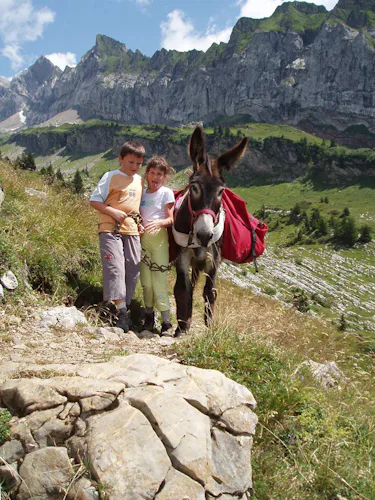 Hiking with mules in Haute Savoie