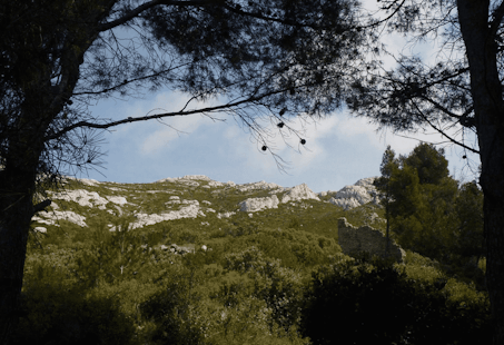 Hiking in Provence and Camargue