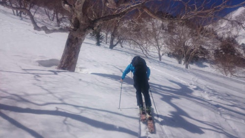 Ski touring around Gunma and Nigata area