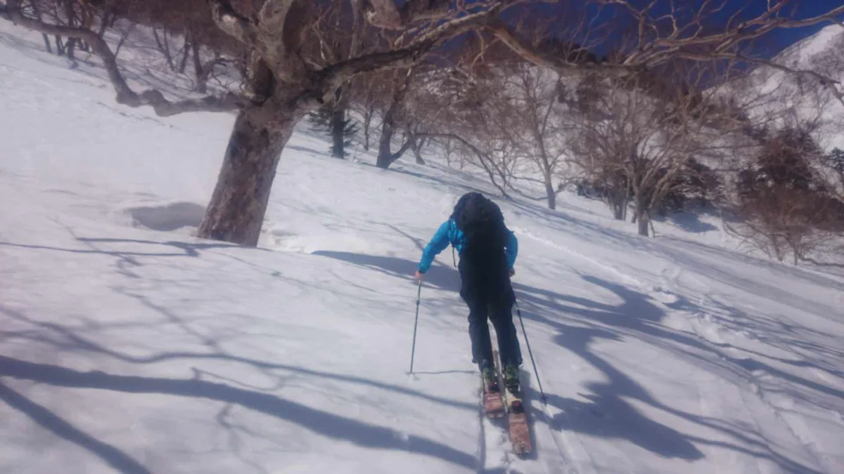 Ski touring around Gunma and Nigata area | Japan