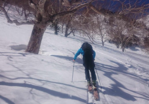 Ski touring around Gunma and Nigata area