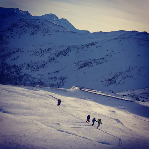 Ski touring in Grand Saint Bernard