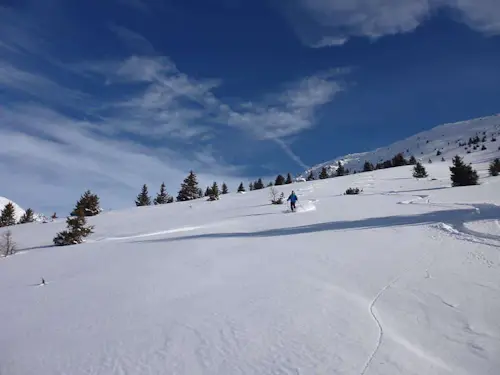 Ski hors-piste à La Grave et l'Alpe d'Huez
