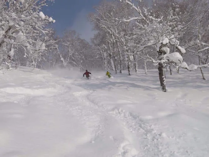 Ski touring & off piste in Hokkaido