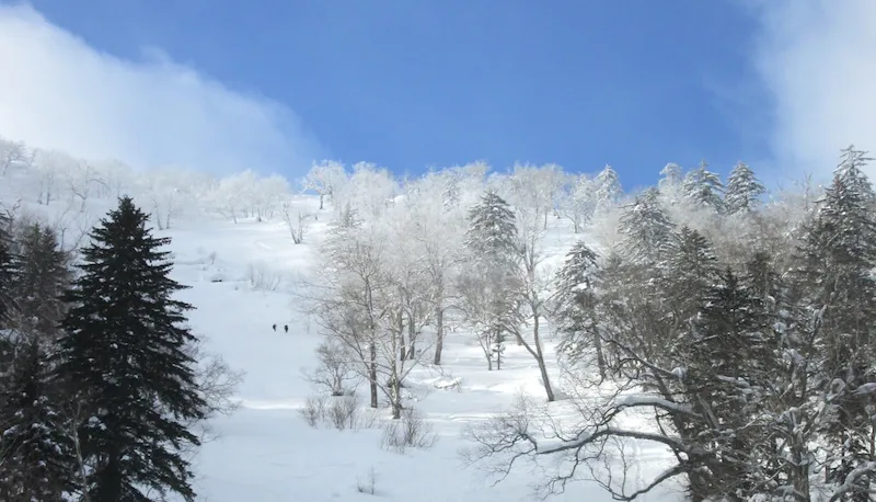 Ski touring & off piste in Hokkaido