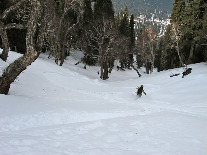 Off piste skiing in India – Gulmarg, Kashmir