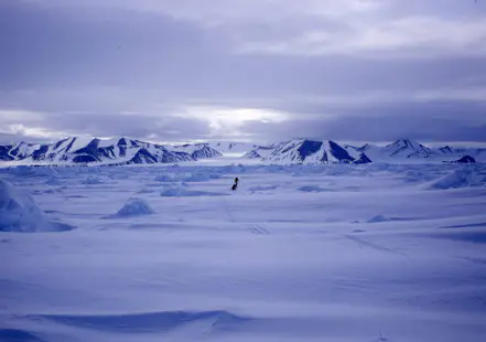 Pulka ski expedition on the North Pole