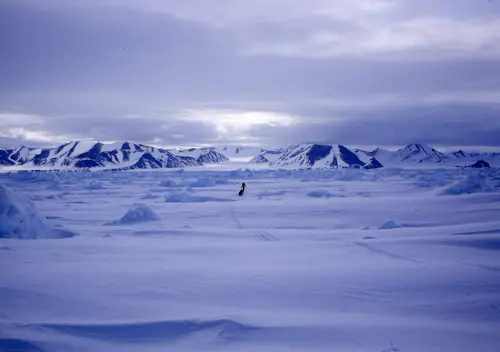 Expédition à ski de la Pulka au pôle Nord