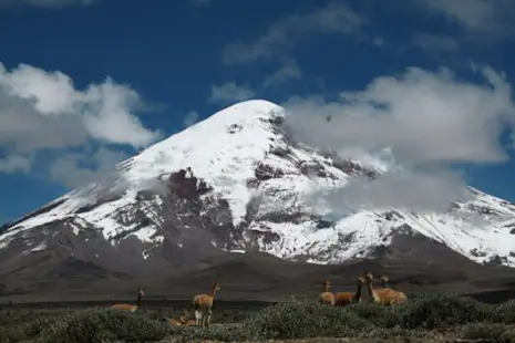 Cotopaxi and Chimborazo ascents, 9-day trip