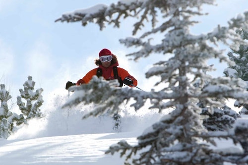 Ski freeride à la Grave la Meije (privé)