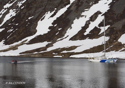 Ski touring from a sailboat in Iceland