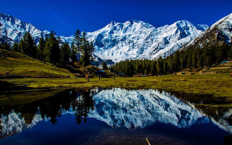 Hiking in Fairy Meadows