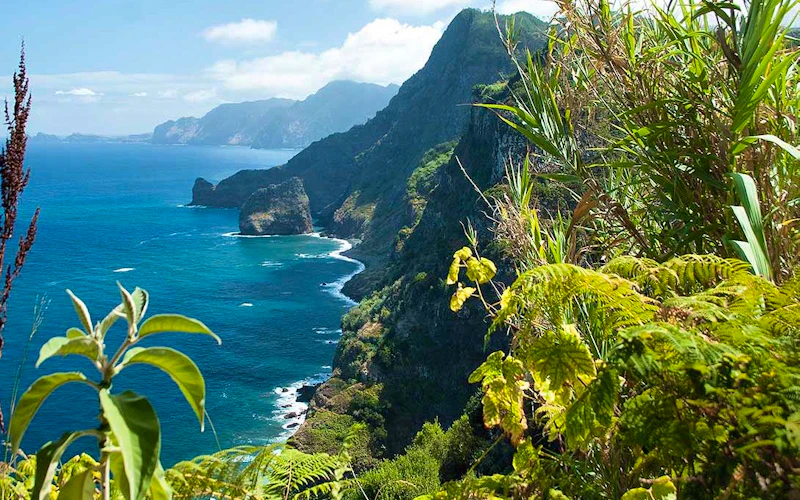 Trail Running in Madeira