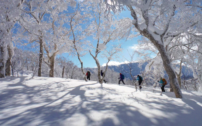 Snowshoeing in Hokkaido
