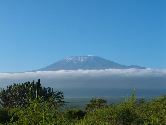 Ascensions - Kilimandjaro