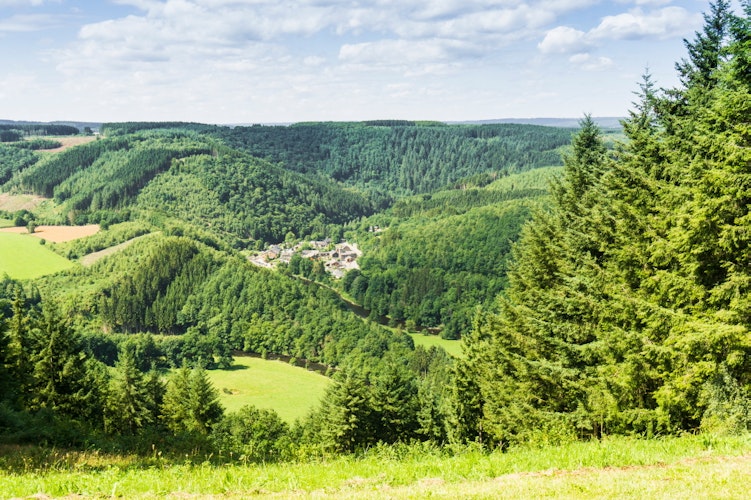 The 5 Best Hikes in The Ardennes