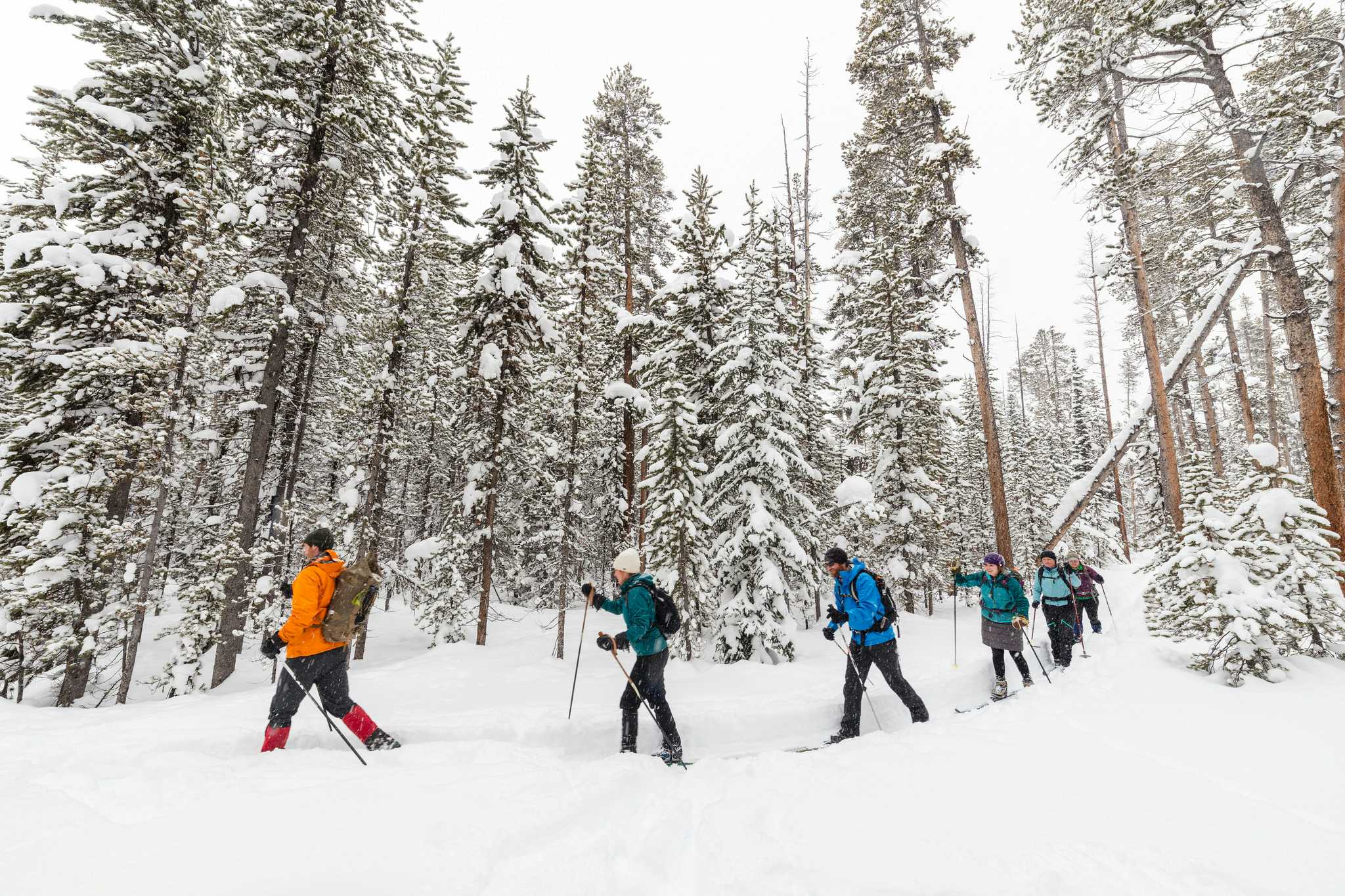 What is Cross-Country Skiing? Equipment, Best Season, Top Spots