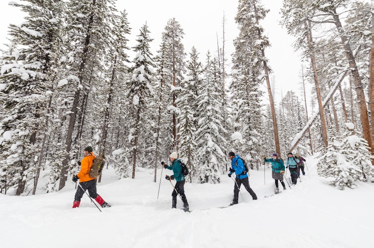 What is Cross-Country Skiing? Equipment, Best Season, Top Spots