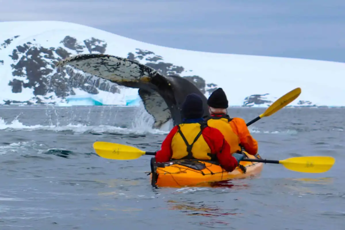 What is Kayaking? Equipment, Best Season, Top Spots post image