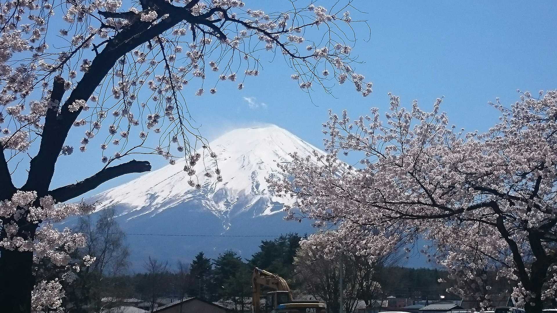 Mount Fuji Climb: Facts & Information. Routes, Climate, Difficulty, Equipment, Preparation, Cost