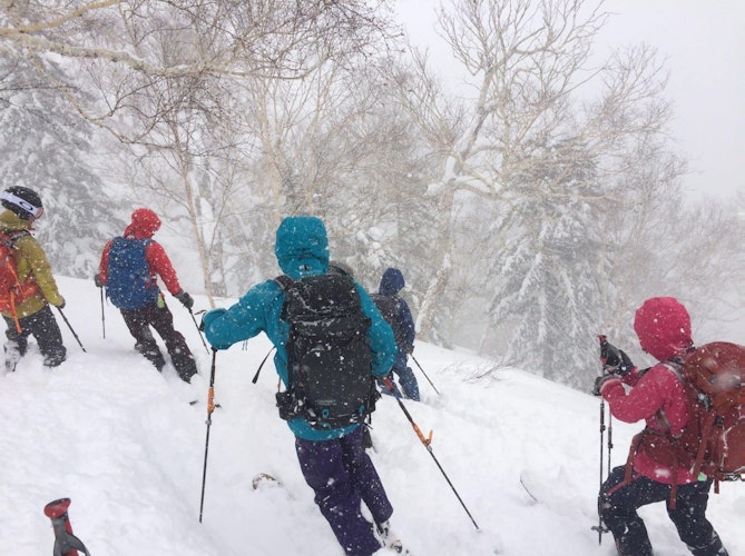 Backcountry ski expedition in Teshiodake: untracked powder adventures in Japan