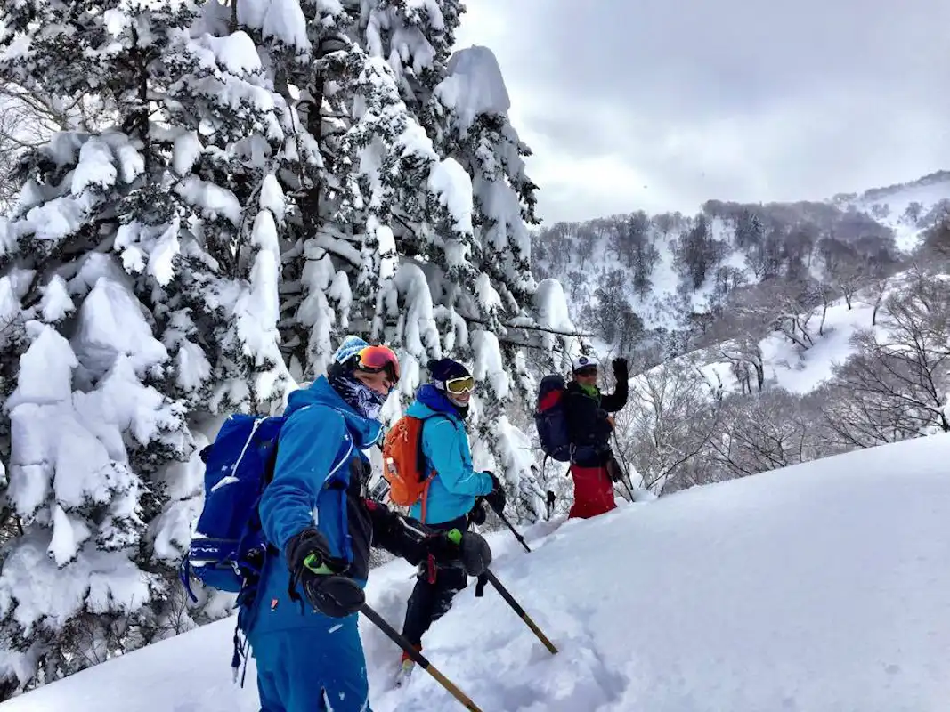 Backcountry Skiing in Hokkaido: When a Guide Makes All the Difference post image