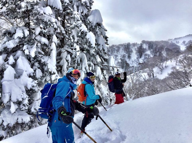 Backcountry Skiing in Hokkaido: When a Guide Makes All the Difference