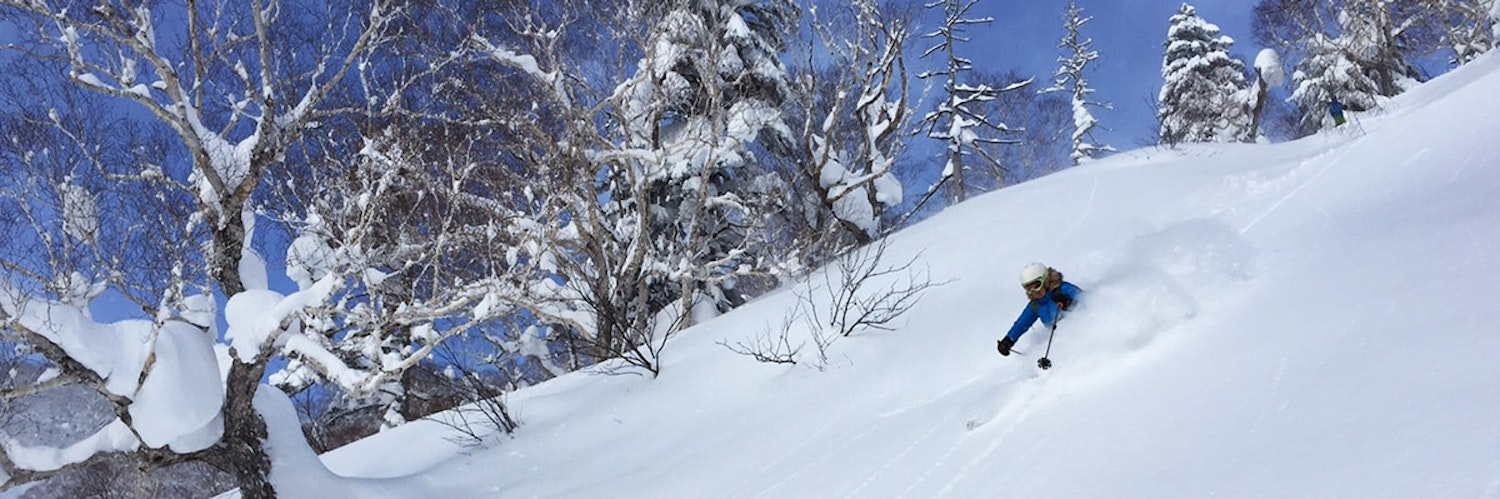 Skiing in Hokkaido: 10 days of pure happiness in JAPOW! post image