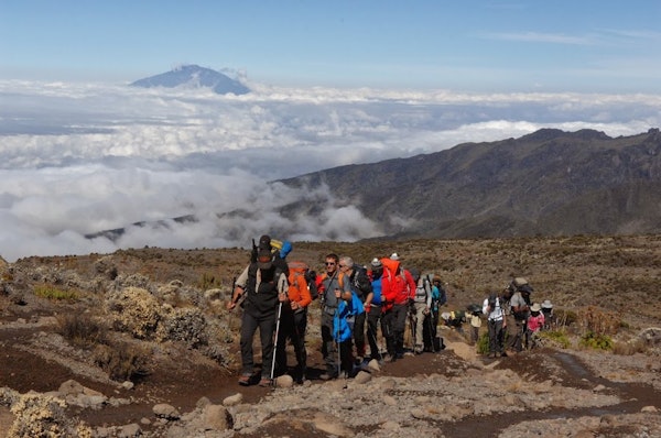Kilimanjaro group