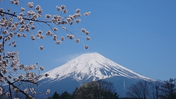 Mt Fuji