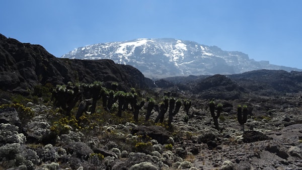 Kilimanjaro ascent