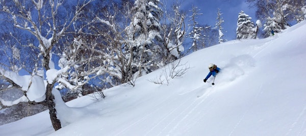 Powder Skiing in Hokkaido