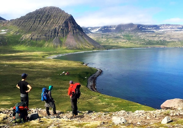 Philippe and his friends hiking in Hörnstrandir, Iceland, with Bjartur