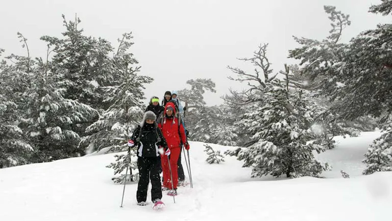 Snowshoeing and spa day in the Sierra de Guadarrama National Park 3